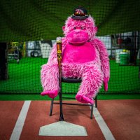 Wamego Baseball (@wamegobaseball) 's Twitter Profile Photo Wamego Baseball (@wamegobaseball) 's Twitter Profile Photo