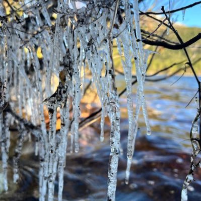 kjfjgkgkg's profile picture. 