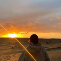 Rosa Boehm (@rosab82710) 's Twitter Profile