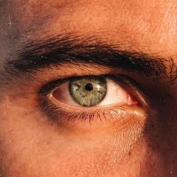 Ottoman-1299🇹🇷🇩🇪 (@polll_can_tr) 's Twitter Profile Photo Ottoman-1299🇹🇷🇩🇪 (@polll_can_tr) 's Twitter Profile Photo