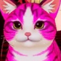 はいねvalfordpr (@valfordpr) 's Twitter Profile