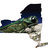 NYInvasiveSpp's profile image