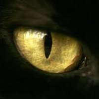 Jannik Nielsen (@dreamorb2021) 's Twitter Profile Photo Jannik Nielsen (@dreamorb2021) 's Twitter Profile Photo