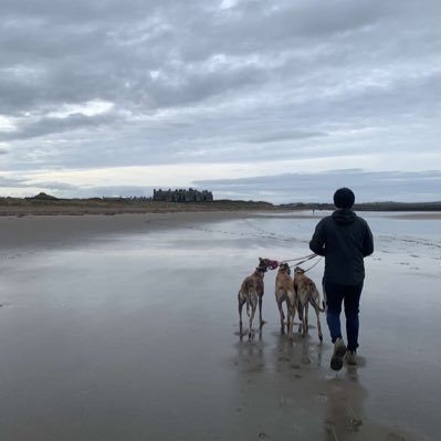 ColmFitzFlyers's profile picture. Flyers kennels - UL🐺 - Licensed Greyhound Trainer