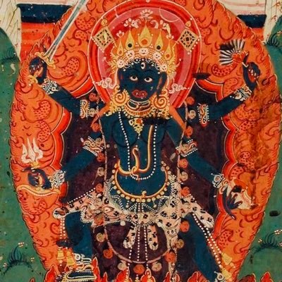 GiovannaLoza's profile picture. 