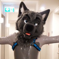 πΊ Wolfe πΎ π³οΈβππ¦π«πΊπ¦ πFWA (@furrwolfe99) 's Twitter Profile Photo πΊ Wolfe πΎ π³οΈβππ¦π«πΊπ¦ πFWA (@furrwolfe99) 's Twitter Profile Photo