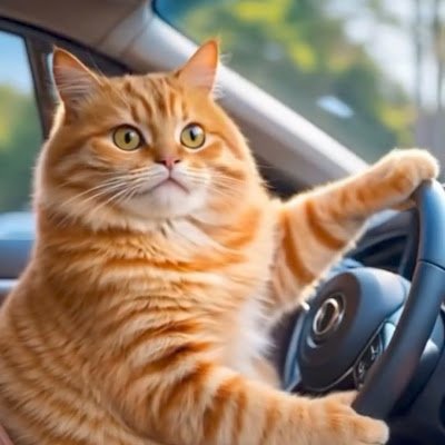 kedi_sapsa99209's profile picture. 