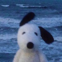 arkadia. (@arkadiarl) 's Twitter Profile