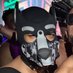 Puppy420 (@stray_puppy420) Twitter profile photo Puppy420 (@stray_puppy420) Twitter profile photo