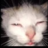 Kunlinhooo's profile picture. Al mal tiempo, buena cara