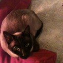 Andrea Barnard - @barnard_andrea - Twitter