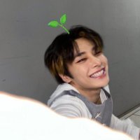 🌱 (@diddyskz) 's Twitter Profile Photo 🌱 (@diddyskz) 's Twitter Profile Photo