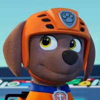Zuma Pup Fanatic (@zumafanatic) 's Twitter Profile Photo Zuma Pup Fanatic (@zumafanatic) 's Twitter Profile Photo