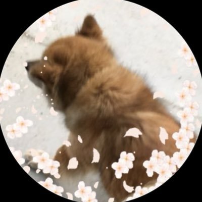 祇王さんのプロフィール画像