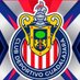 Javier Ruiz Ramirez (@ramirezjav29793) Twitter profile photo Javier Ruiz Ramirez (@ramirezjav29793) Twitter profile photo