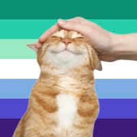 InfiniteGatos (@infinitegatos) 's Twitter Profile Photo InfiniteGatos (@infinitegatos) 's Twitter Profile Photo