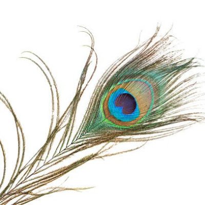 rajaoffic1996's profile picture. 