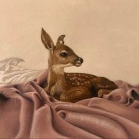 م / كود خصم نايس ون TW217 (@io170r) 's Twitter Profile