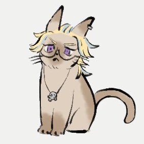 チロさんのプロフィール画像