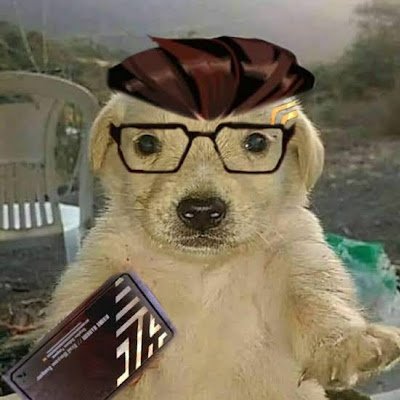 Rous_543's profile picture. 