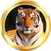 KAPLAN COIN (@coinkaplan) Twitter profile photo KAPLAN COIN (@coinkaplan) Twitter profile photo