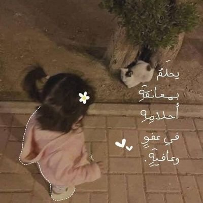 ZTwylah's profile picture. _ولكنك أسرفت في الكتمان حتى نسيت كيف تبوح.