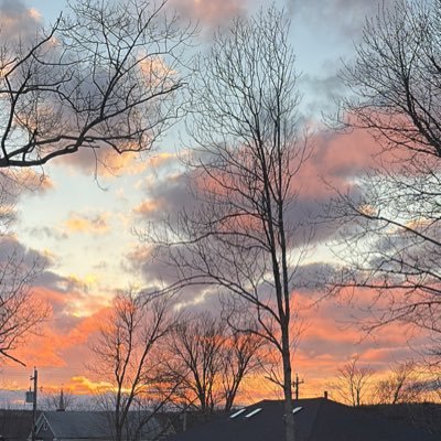 dasancustom's profile picture. truth seeker