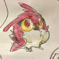 翼の裏側ぺろぺろ (@ko_mimizuku) 's Twitter Profile Photo 翼の裏側ぺろぺろ (@ko_mimizuku) 's Twitter Profile Photo