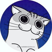 Amazon.co.jp: ネコぱら Extra 仔ネコの日の約束 画集付き版