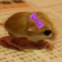 katyamari damousey 🐭 (@gooddaymp3) 's Twitter Profile Photo katyamari damousey 🐭 (@gooddaymp3) 's Twitter Profile Photo