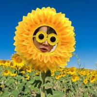소곡 (@ksogok1) 's Twitter Profile Photo 소곡 (@ksogok1) 's Twitter Profile Photo