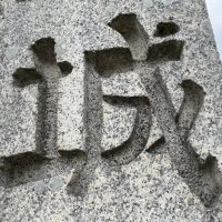 【城郭道】たっきー(新) (@jyokakudotukky5) 's Twitter Profile Photo 【城郭道】たっきー(新) (@jyokakudotukky5) 's Twitter Profile Photo
