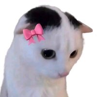 moon_child🌙 (@moon_child57669) 's Twitter Profile Photo