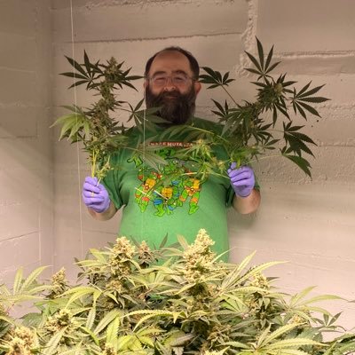 Cannabis Patient & Enthusiast. House Hacker. Stay at home Dad. Mental Health Advocate. Sex Positive. Ethically Non-Monogamous. Disabled Vet. Fuck Trump!