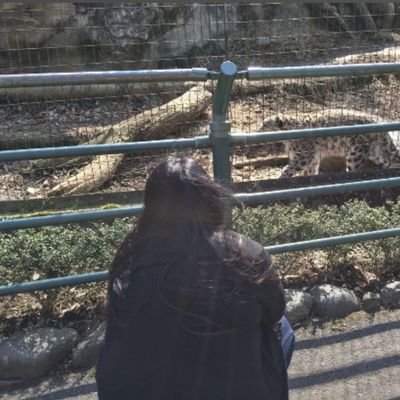 165/103/30前半/関東/ただのデブス/23時就寝