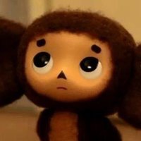 🐈… (@cat1_nya) Twitter profile photo