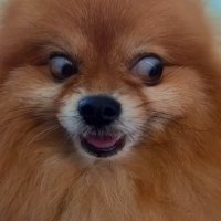 Marce (@marcepf83) 's Twitter Profile Photo Marce (@marcepf83) 's Twitter Profile Photo
