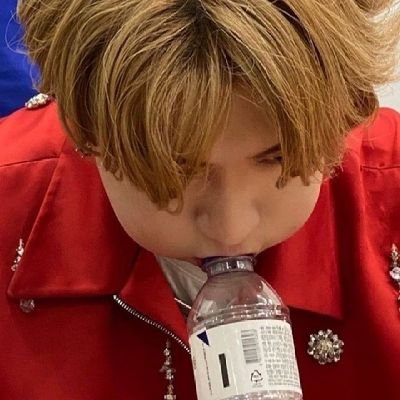 Notmary121's profile picture. 🐿🦊