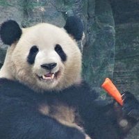 李飜壽 (@1011ip0p_) Twitter profile photo