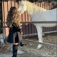 Suetteesh (@suetteeshbfg7d) 's Twitter Profile