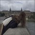 Rerdesth (@rerdesthozmcqh) Twitter profile photo Rerdesth (@rerdesthozmcqh) Twitter profile photo