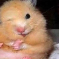 🕯타탱랑🍰🕯🕯🕯🕯🕯🕯🕯🕯 (@tatin5461) 's Twitter Profile Photo