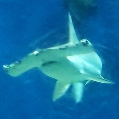 H₂Sさんのプロフィール画像