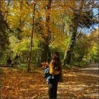 Seautirt (@seautirtyeqit6) 's Twitter Profile
