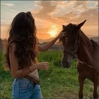 Plewssou (@plewssoupue4j) 's Twitter Profile