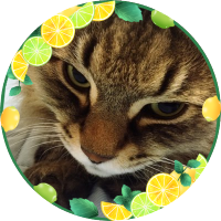 こにょ🐈‍⬛ (@konoe_0202) 's Twitter Profile Photo