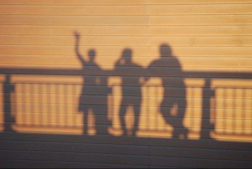 sara_gianni's profile picture. 