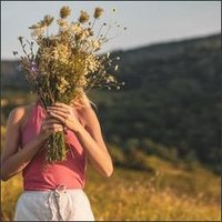 Evelyn (@netroan_ogul) 's Twitter Profile