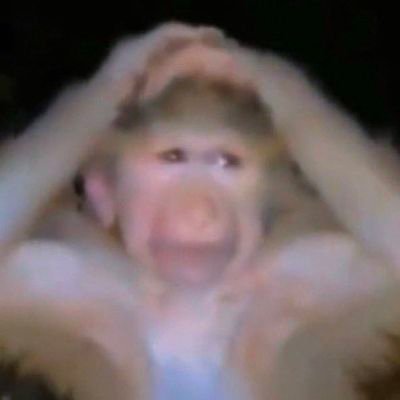 0x00marwan's profile picture. 