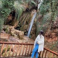 Sophronia (@tairtetyrrh1) Twitter profile photo